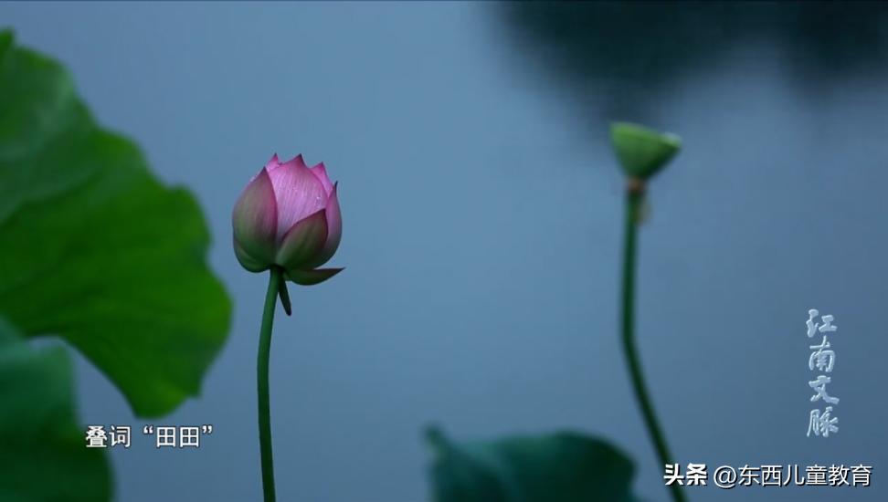 一口气看完中国古诗词动漫,一口气看完系列动漫诗词歌赋