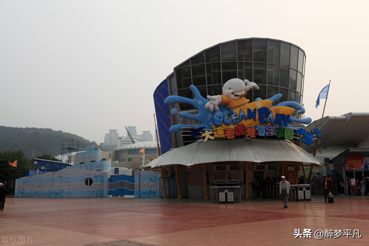 大连老虎滩海洋公园极地馆视频,大连老虎滩海洋公园和发现王国