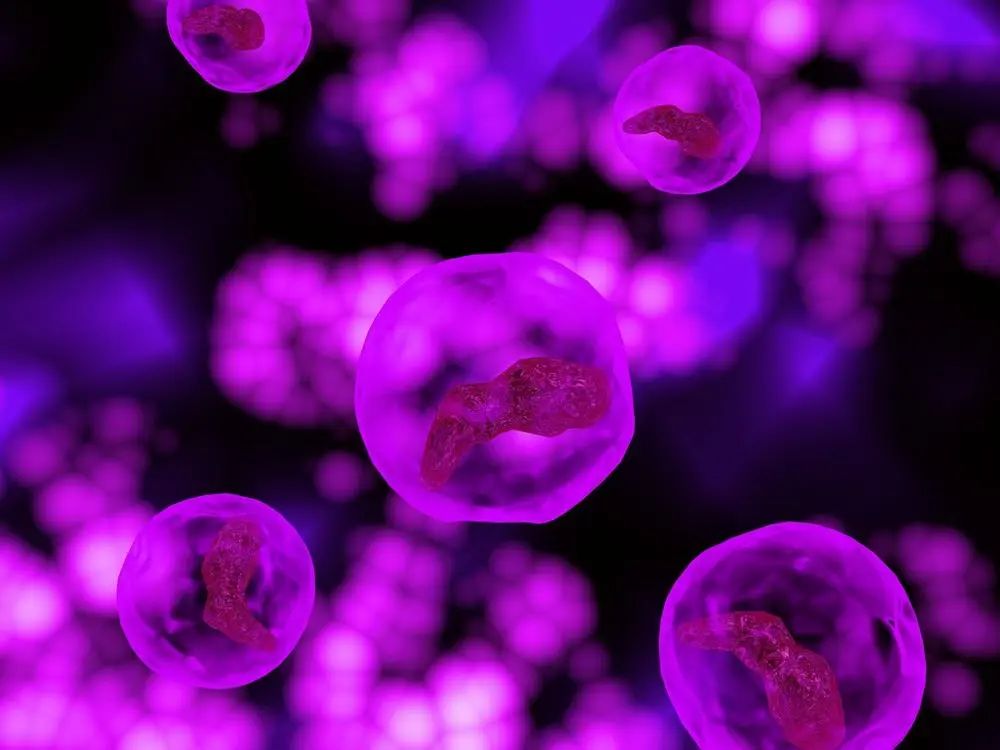 经期已经过了又出血是什么情况,两次经期中间白带有血丝