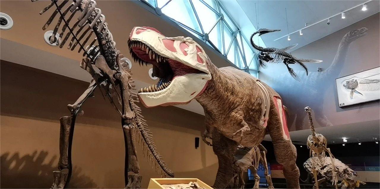 涔愰珮閰掑簵涓婃捣,涓婃捣涔愰珮鏃楄埌搴楁梺杈圭殑閰掑簵