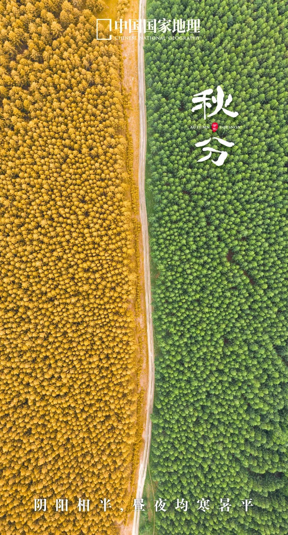 365天最美24节气图诞生惊艳国人,这组24节气图太美了