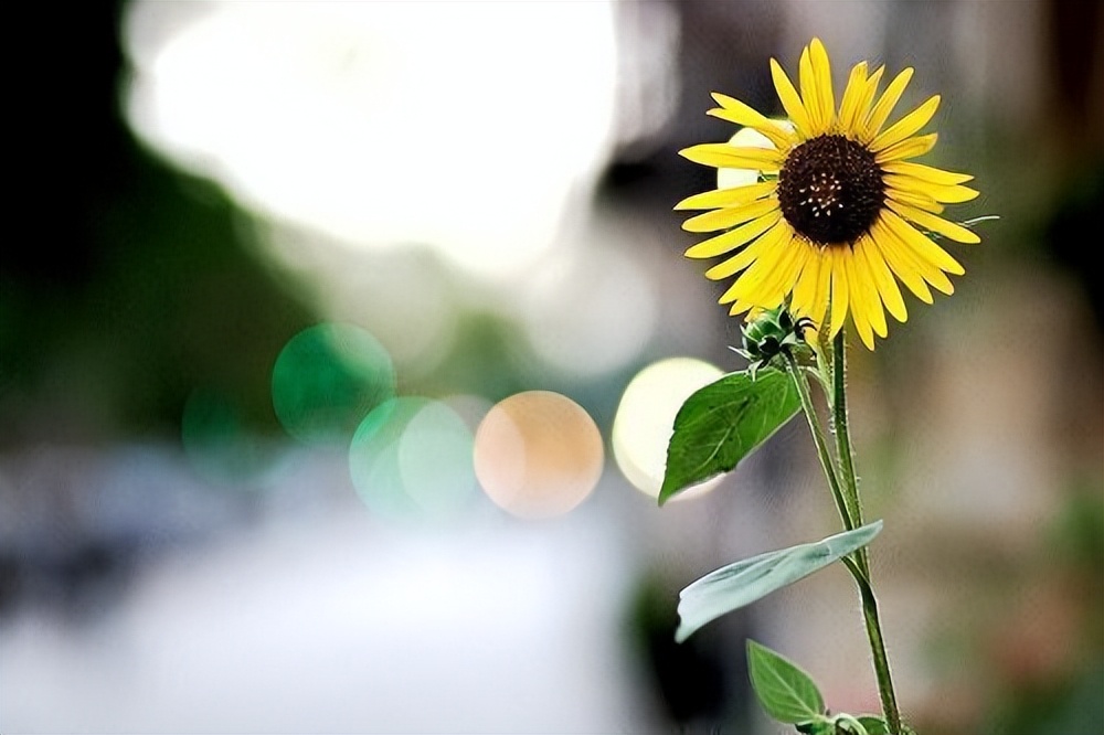 不经一事如何分辨是人是鬼,判断一个人是人是鬼