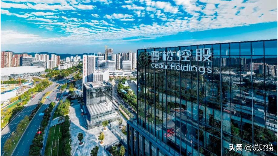 闆澗鎺ц偂鏄箍宸炴渶澶х殑姘戜紒,骞垮窞绗竴姘戜紒闆澗