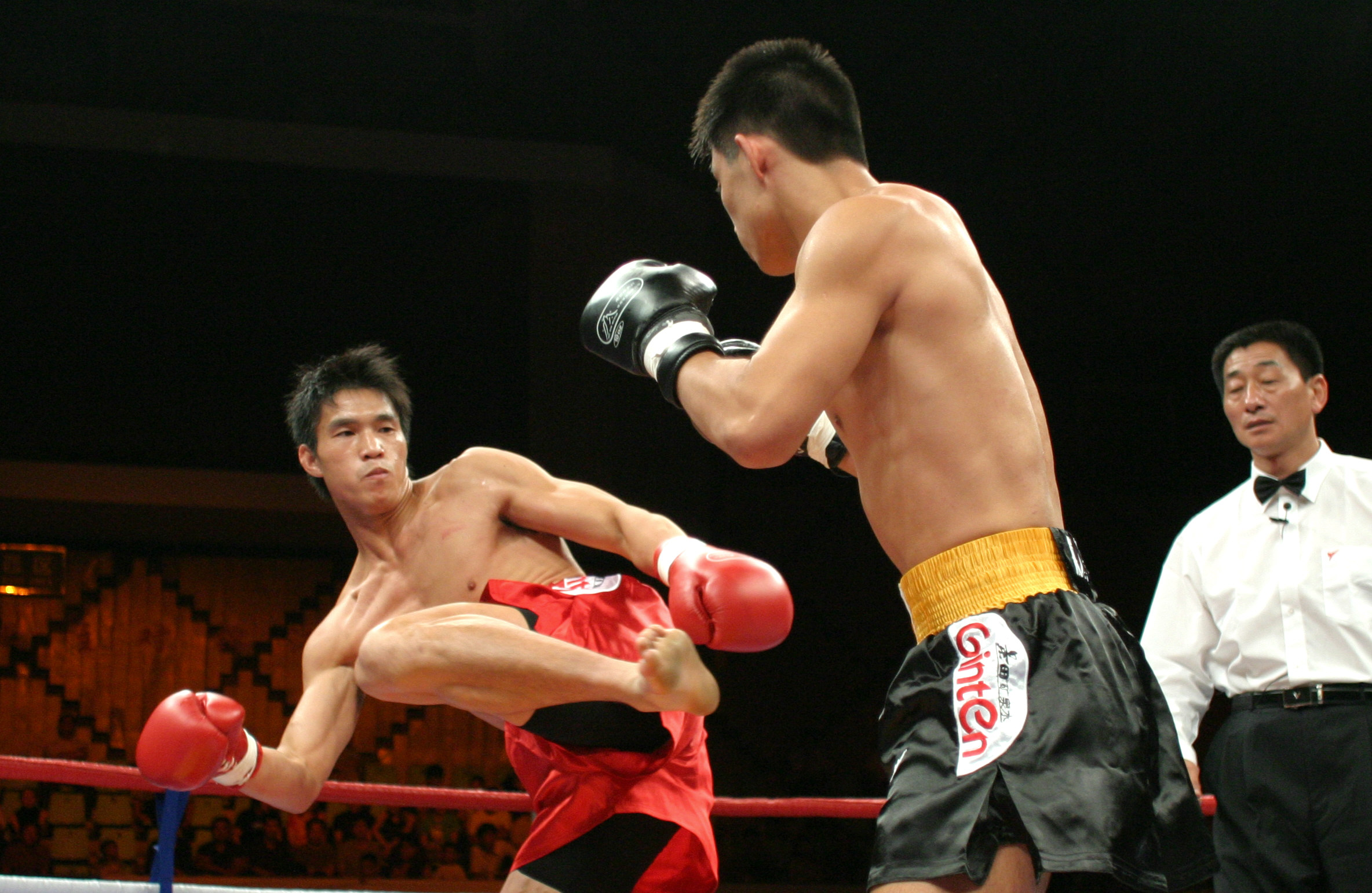 中国散打王ko日本,中国对日本散打ko集锦