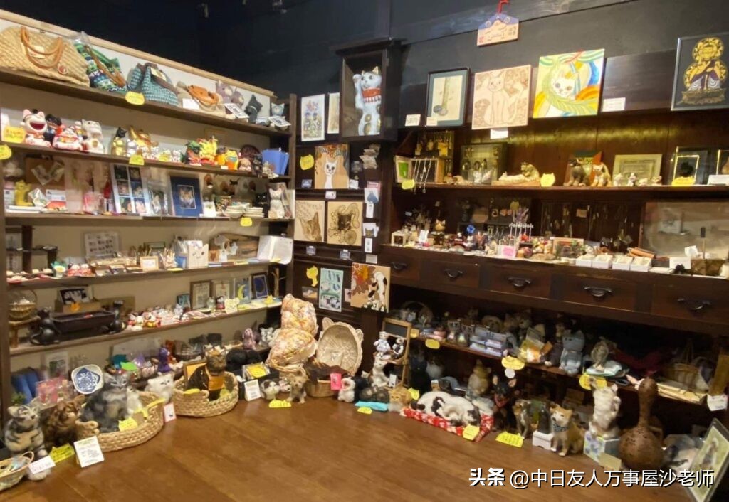 成都境内的猫咪打卡圣地,爱猫人士必去的十大景点