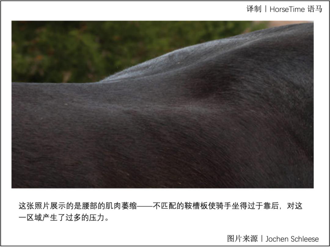 马鞍不匹配会带来哪些危害,马鞍不匹配会造成什么后果