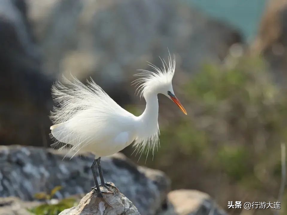 大连到旅顺游玩攻略,大连好玩的地方推荐旅顺海边