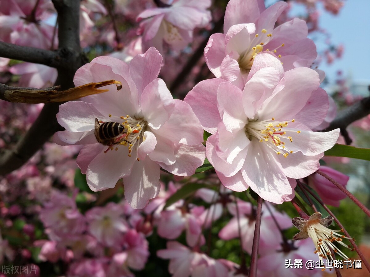 一首经典的哲理词！每一句都是至理名言，值得我们细细品读