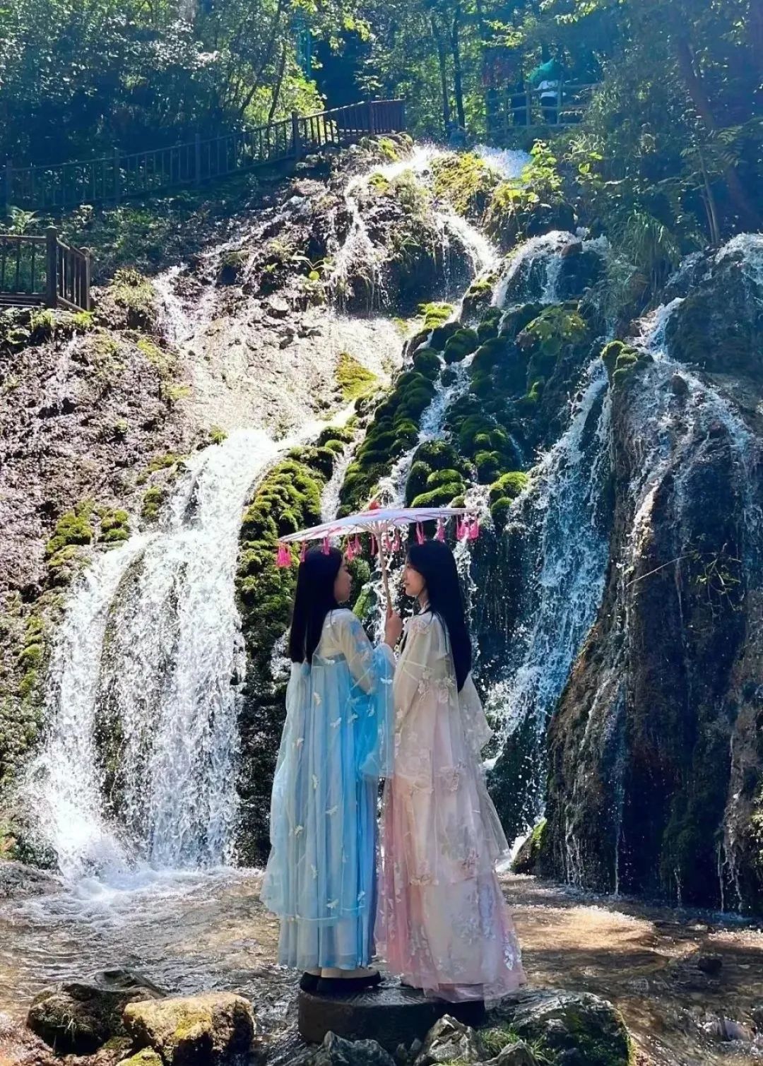 郑州方特半价免票,免票公告