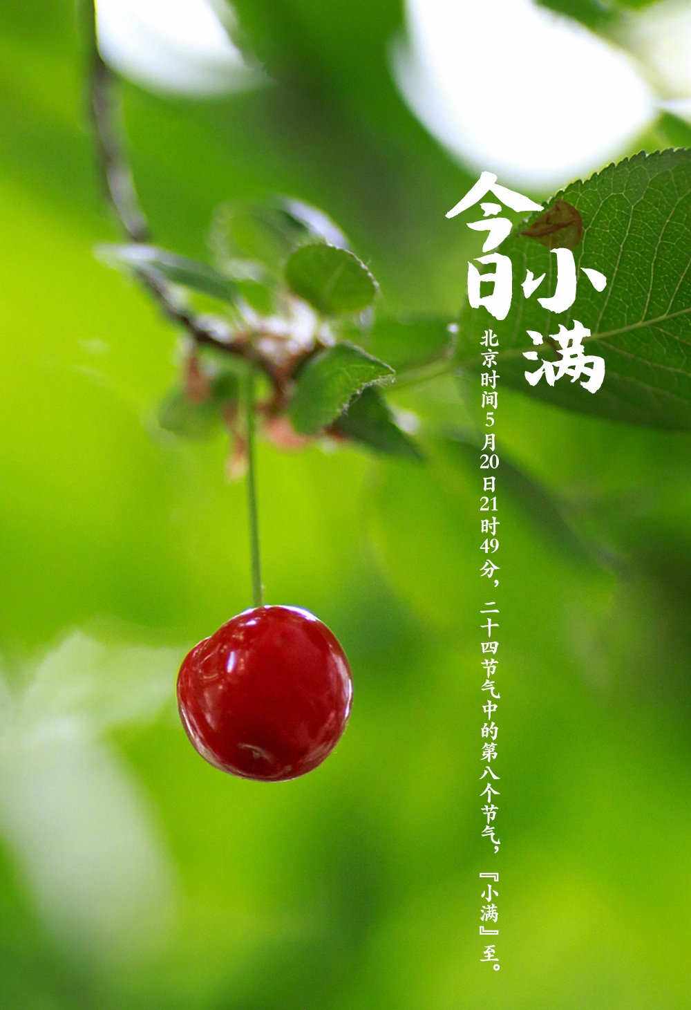 关于小满节气的古诗词赏析,小满节气古诗词欧阳修