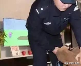 2019反诈盘点,2019反诈热点新闻