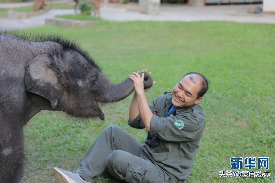cop15大会高清图,cop15开幕完整版