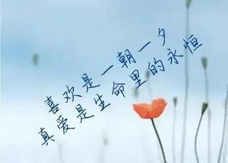 亲爱的，你从我的全世界路过，纵使悲凉也是情