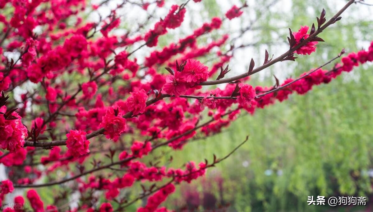 从底层开始小说,底层生活小说全集