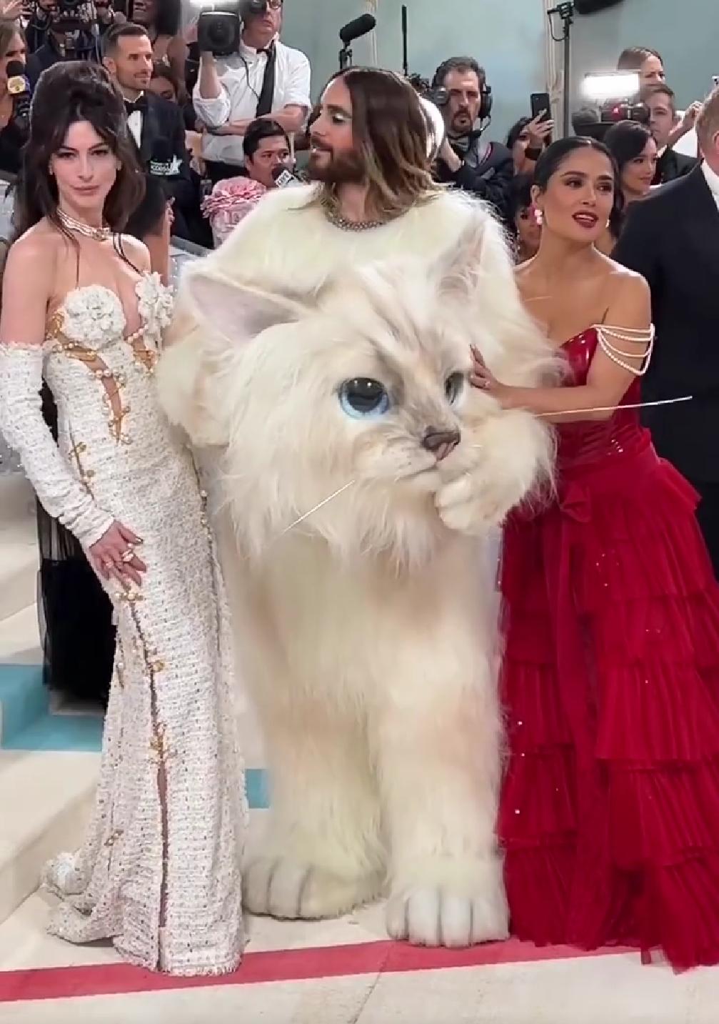 拖把头、海底生化人穿搭，美国这最受瞩目的一夜，如“群魔乱舞”