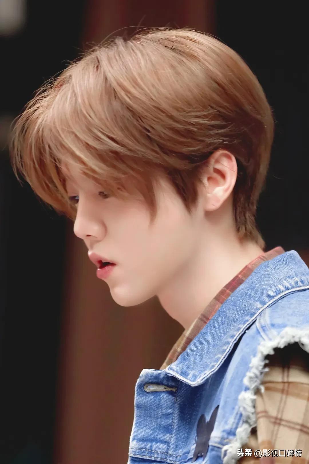 靠综艺撑热度鹿晗,鹿晗去年的收入