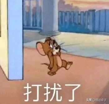 玉兰花樱花梅花,玉兰花桃花杏花视频