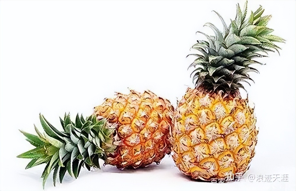 除家具异味用什么效果最好,用茶叶水擦家具可以去除异味吗