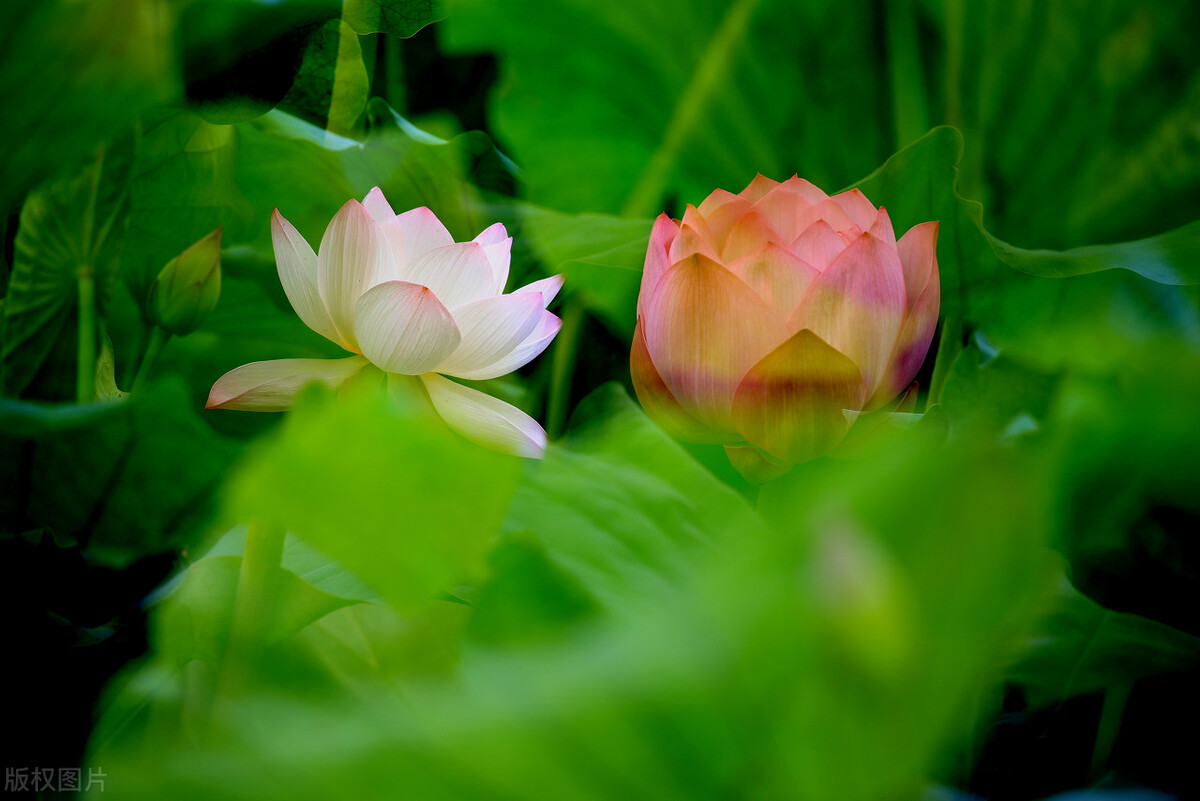 真正的有钱人和虚假的有钱人穿搭,真正的有钱人是什么样子的