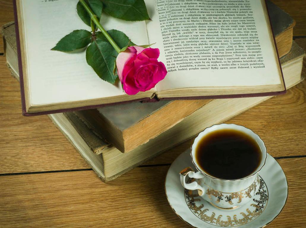 读书能提高认知吗,认知尺度读书心得