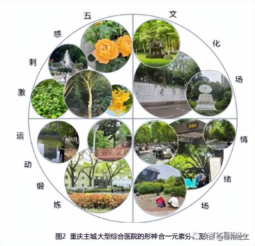 2023中国园林康养与园艺疗法大会,园林康养与疗愈的区别