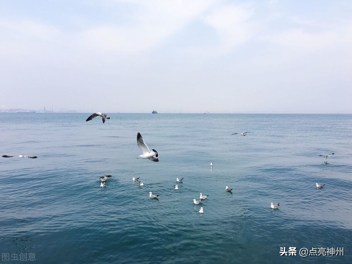 暑假旅游推荐凉快地方5人,暑假最适合5天旅游的清凉地方