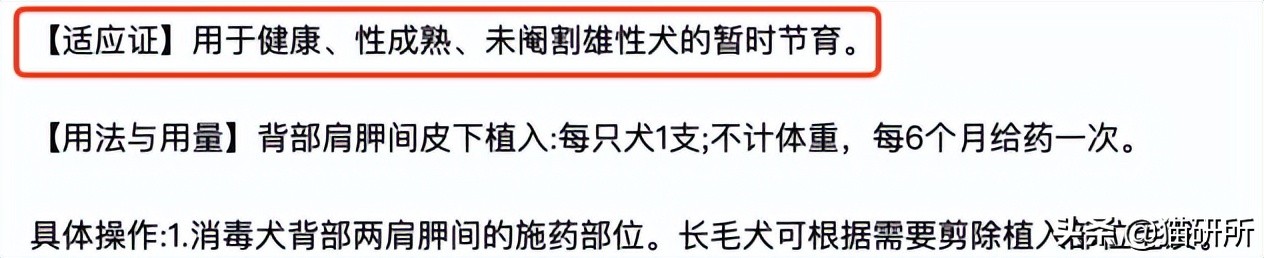 不开刀绝育手术,不打针不手术怎么让母猫绝育