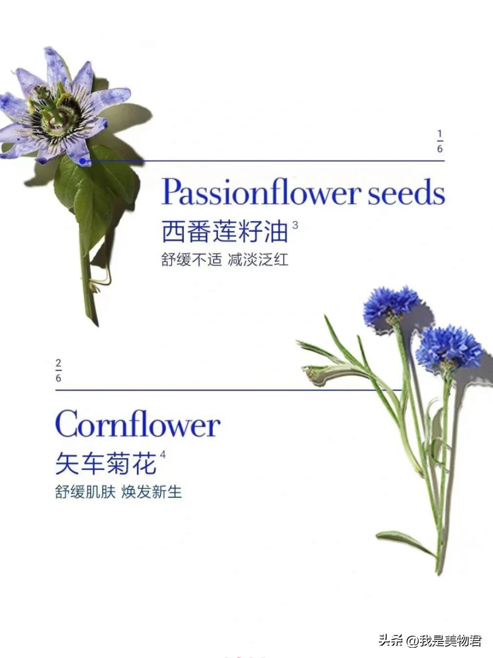 夏天敷补水保湿面膜,敷个面膜补补水分