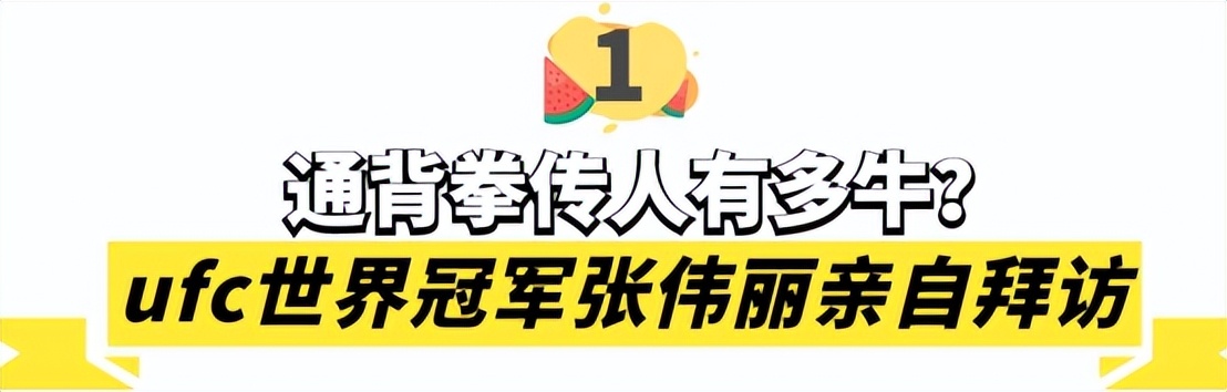 通背拳传人张伟丽,张伟丽拜访中国通背拳传承人