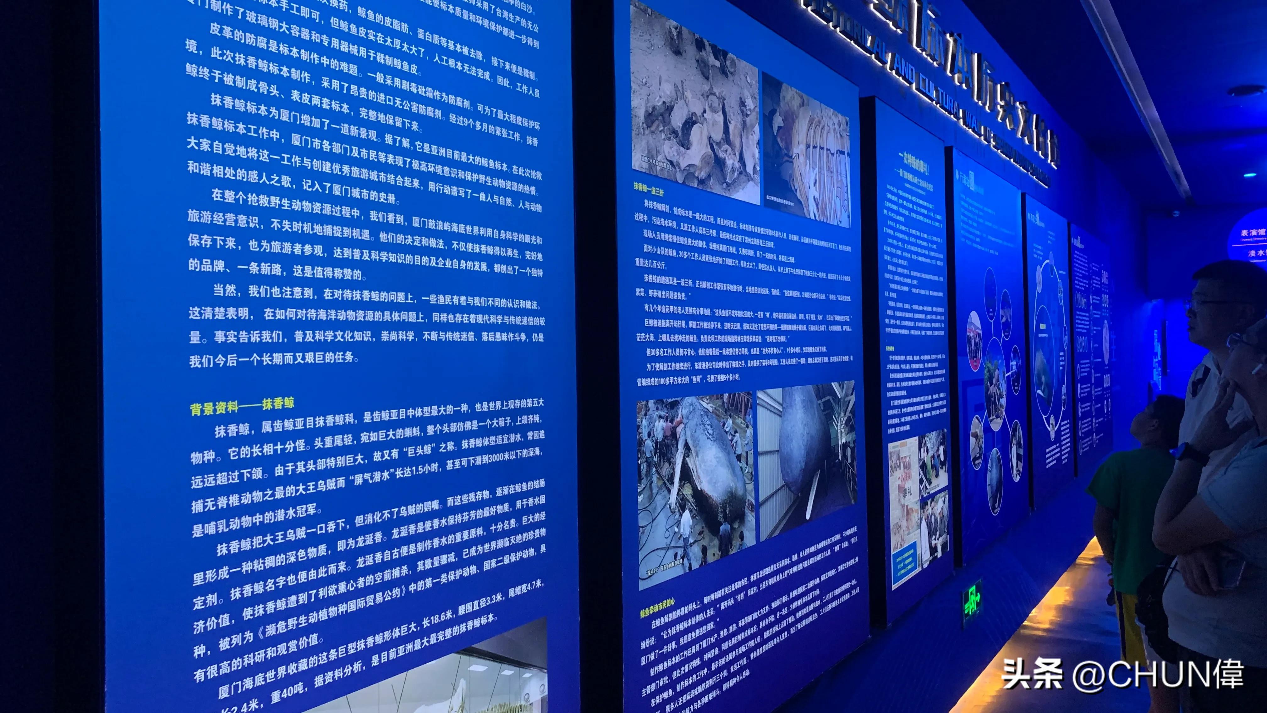 自由行厦门鼓浪屿四天怎么安排,鼓浪屿一日游五一