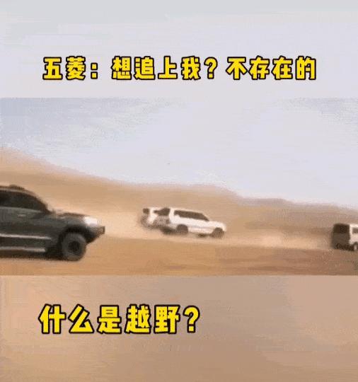 “是小蛇出了轨，还是青蛙劈了腿？”这是现实版的美杜莎？哈哈