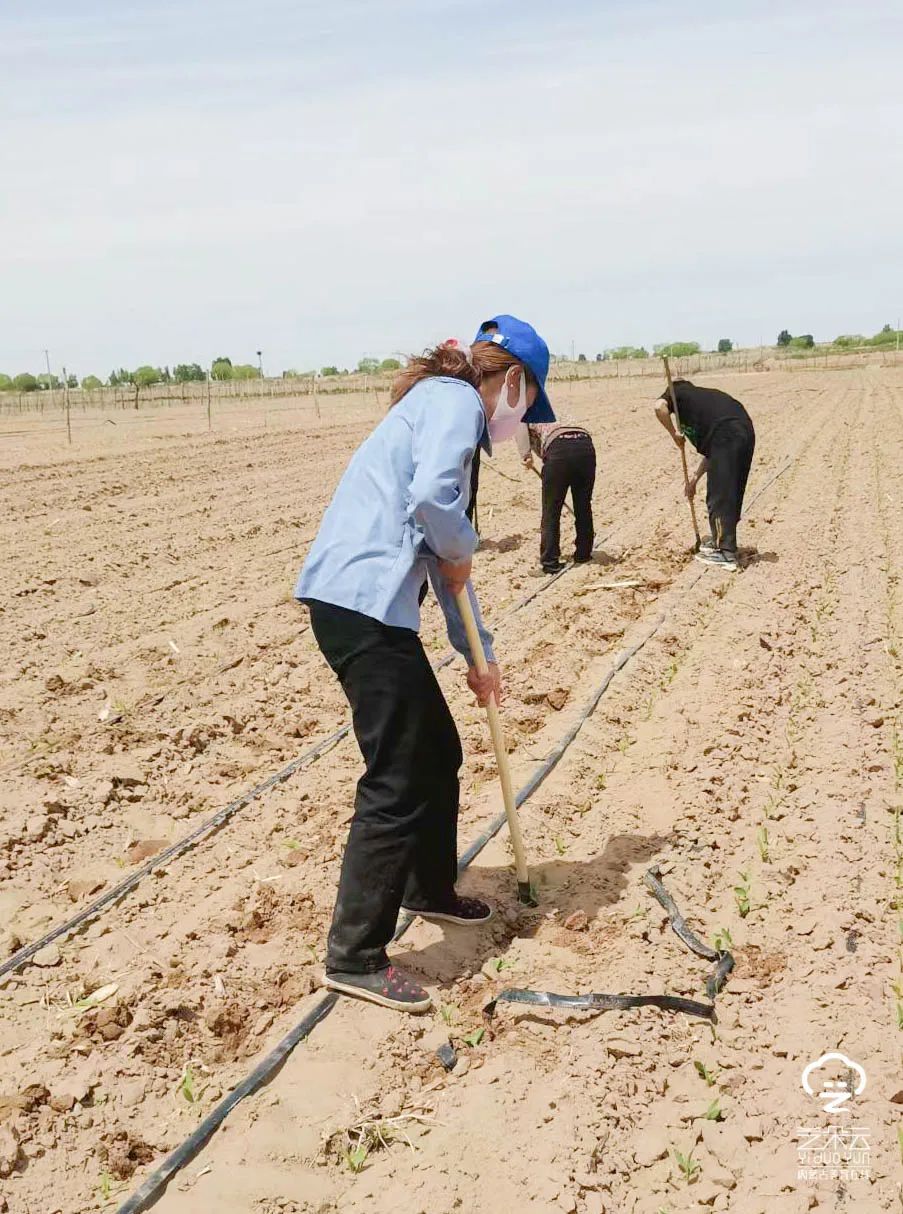 劳动教育在五育中的作用,内蒙古商贸学院劳动教育