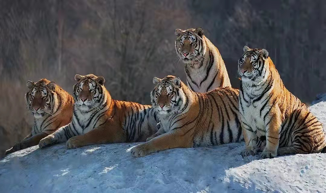 2019年合肥各高中高一分班情况,合肥高中分班怎么分按什么标准