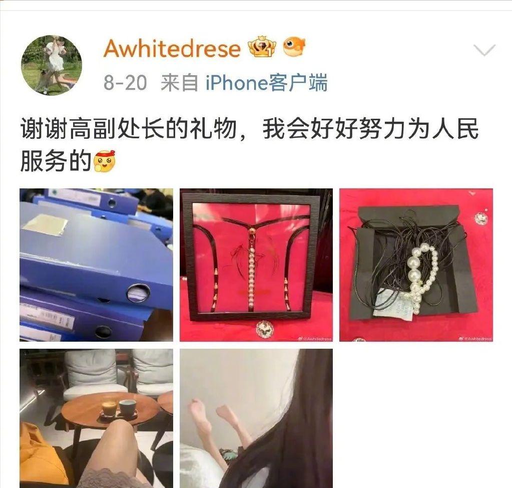 感谢高副处长,江苏回应高副处长的礼物