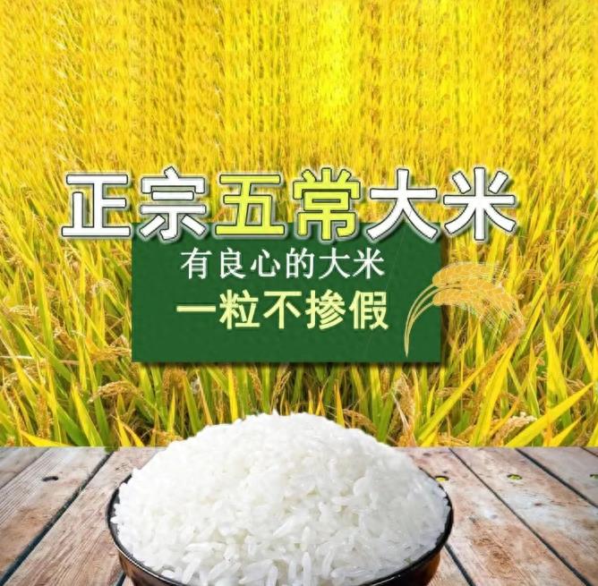 熊猫40年血泪史,大熊猫之殇