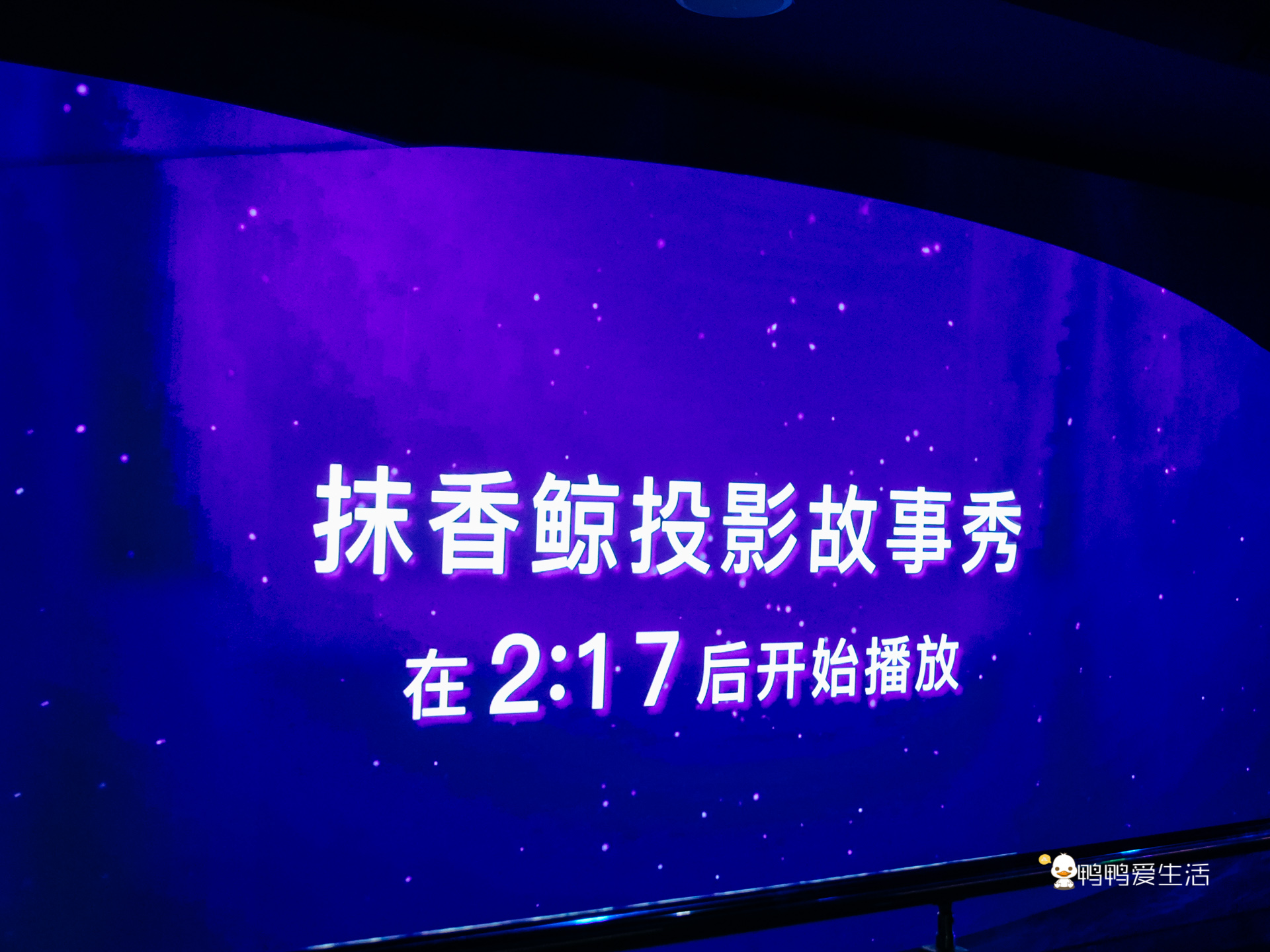 厦门鼓浪屿海底世界的抹香鲸,厦门鼓浪屿亲子旅游攻略