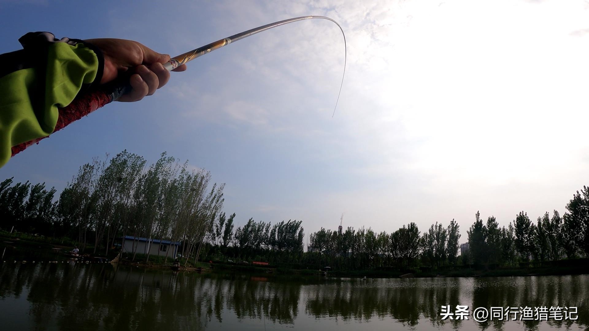 野钓3-5斤鲤鱼用什么竿子,4.5米鱼竿钓黑坑3.4斤鲤鱼推荐