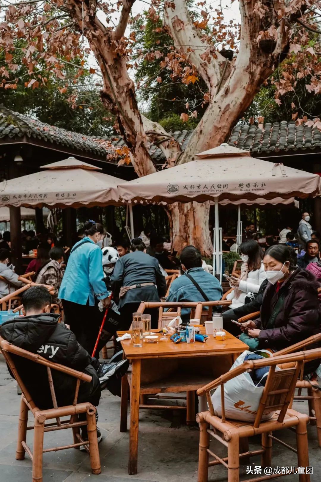 成都茶馆文化起源,成都茶馆成为特色的原因