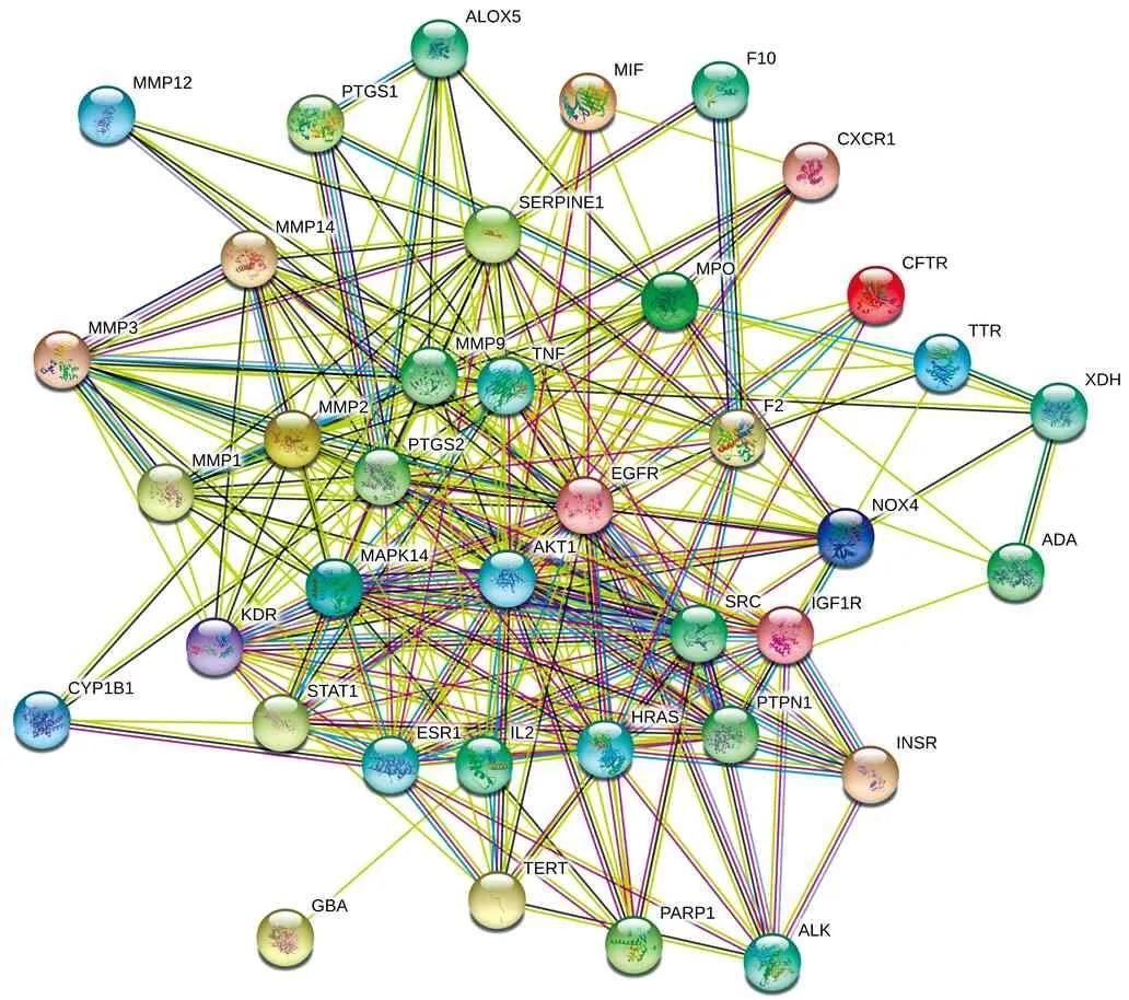 唐古红景天干预肺动脉高压作用机制的网络药理学研究