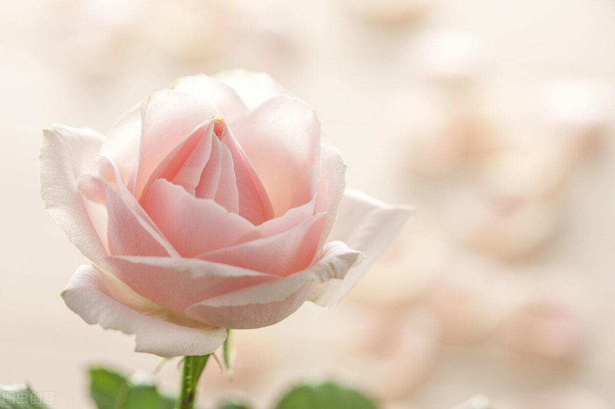 四十岁失业该去创业还是找工作,50岁失业的人应该做什么谋生