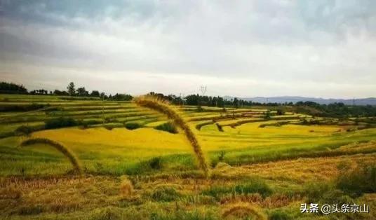 城市风光京山 (京山好风光)