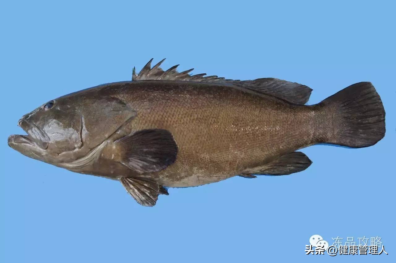 美容护肤食疗方案,美容护肤养生介绍