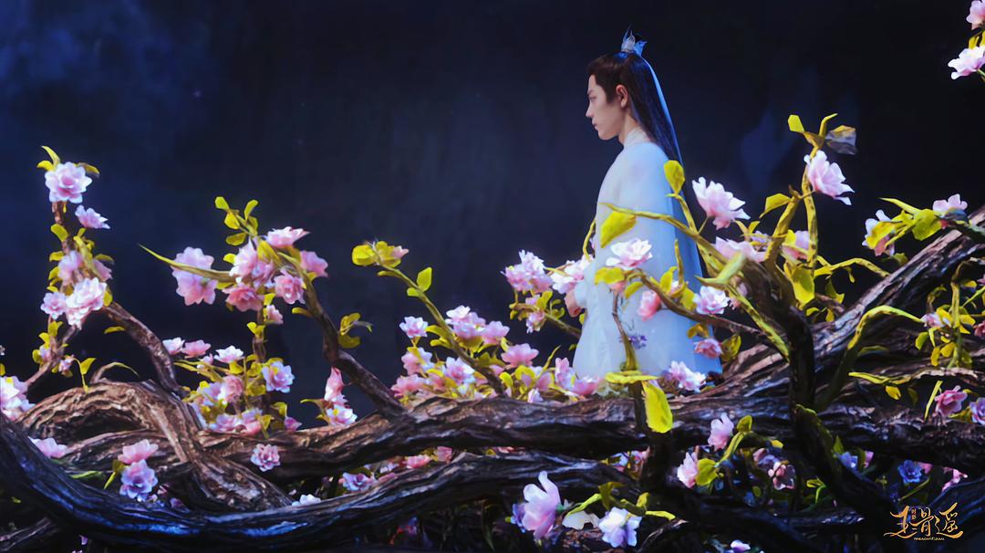 预排暑假档的仙侠剧有哪些,今年夏天火的仙侠剧有哪些