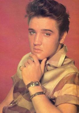 猫王女儿现状,猫王女儿遗产细节全曝光