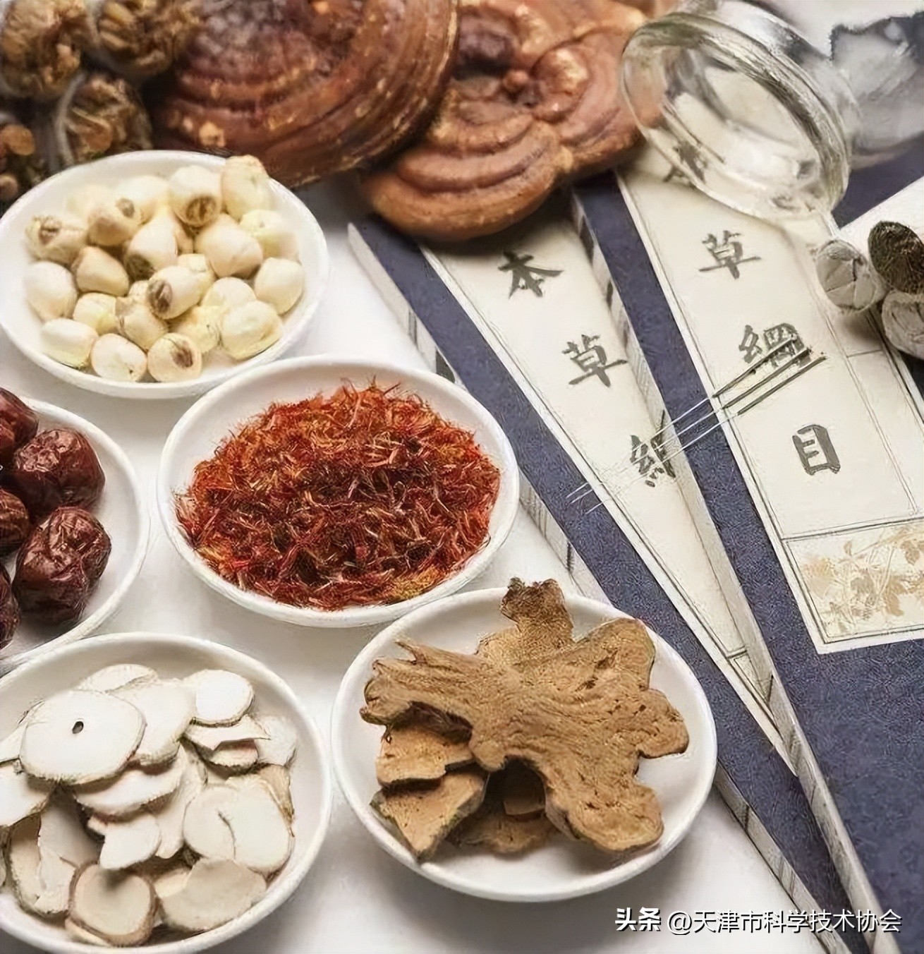 天津科技馆门票网上预约,天津科技馆免费门票预约