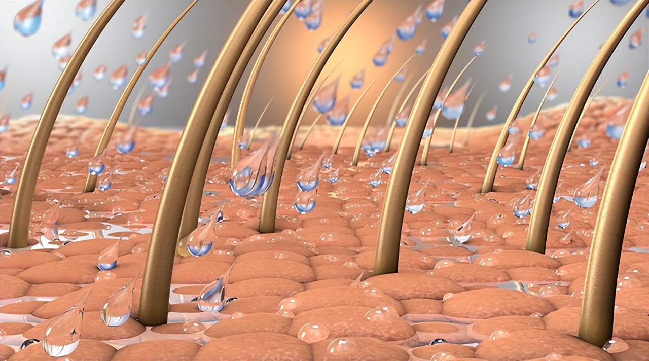 头皮长疙瘩和脓包是什么原因,头皮上经常长脓包是怎么回事