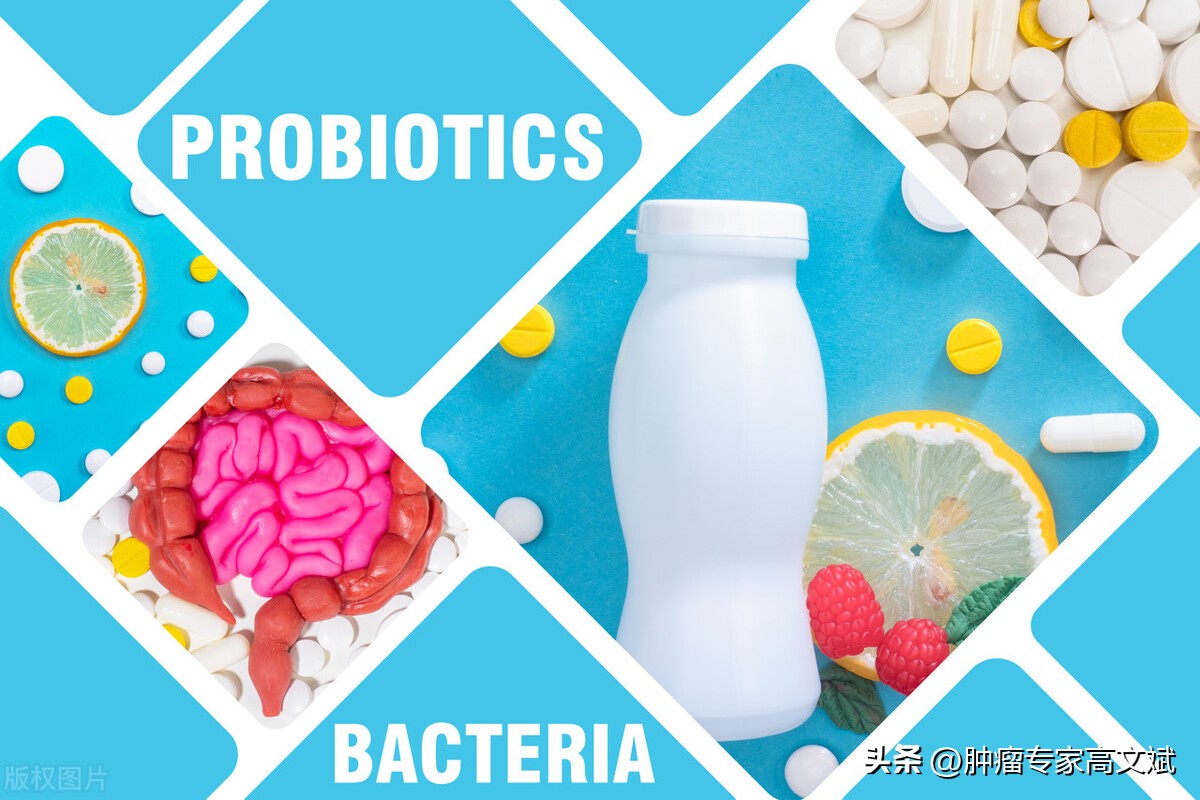 益生菌果蔬粉有什么益处吗,益生菌会对胃有好处吗