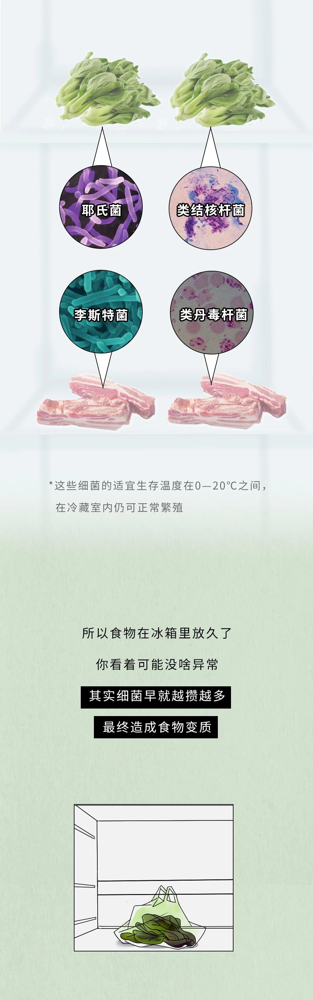 冰箱里有多脏,冰箱和马桶哪个脏