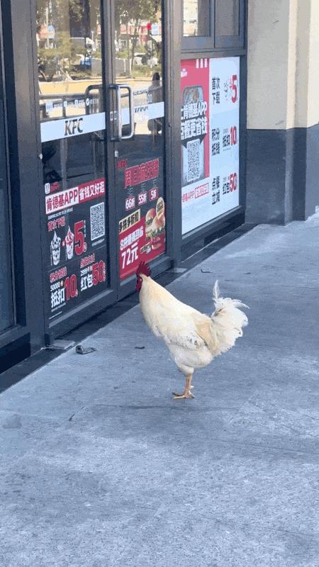 “24岁的女友发育成这样算正常吗？”哈哈哈朋友都说她是我兄弟！