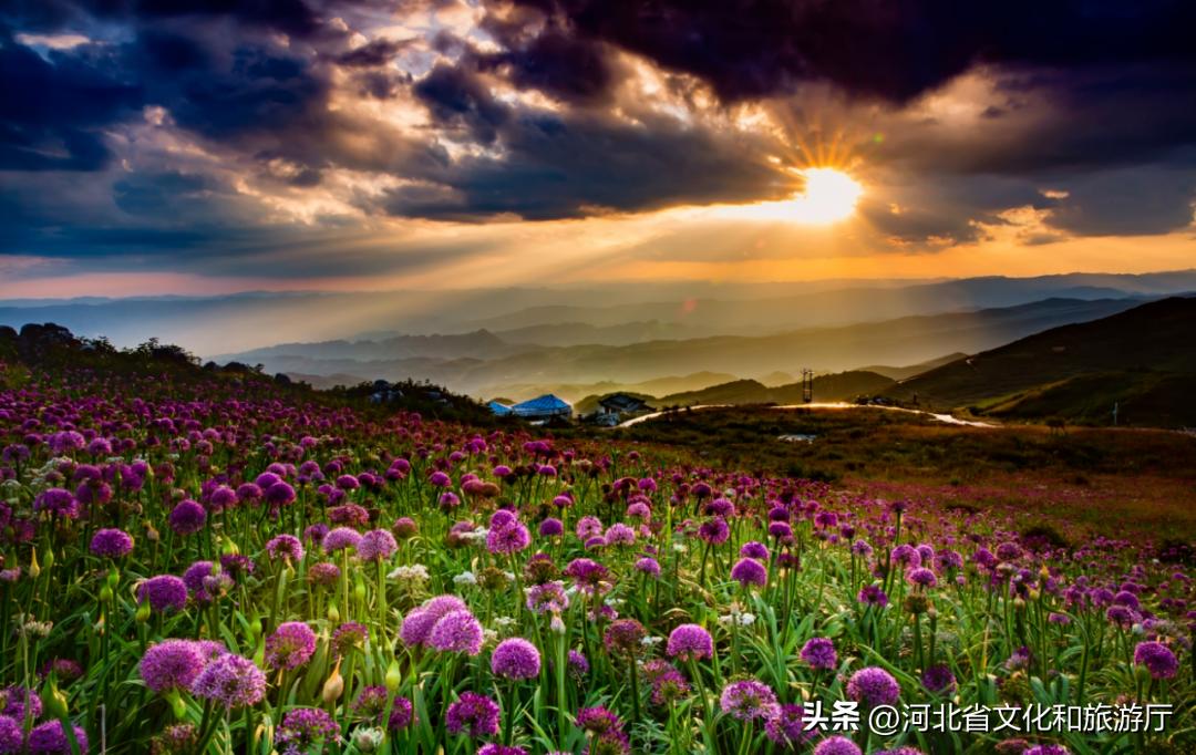 中国夏季避暑胜地排名前十,中国十大避暑胜地第一名你想不到